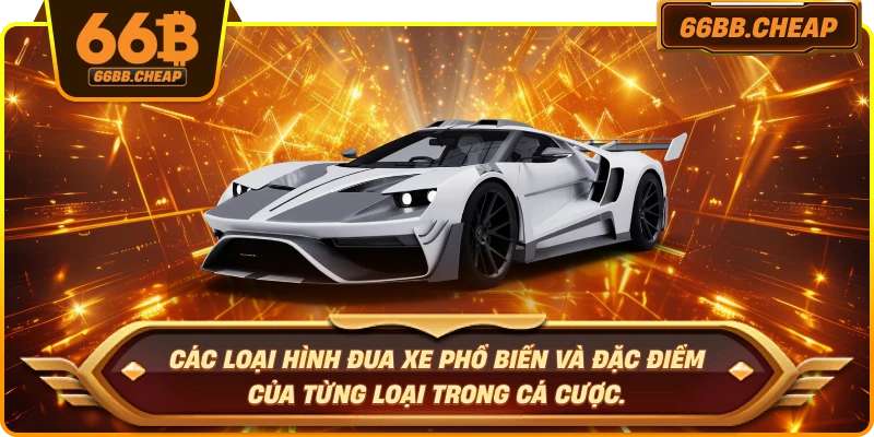 Các loại hình đua xe phổ biến và đặc điểm của từng loại trong cá cược.