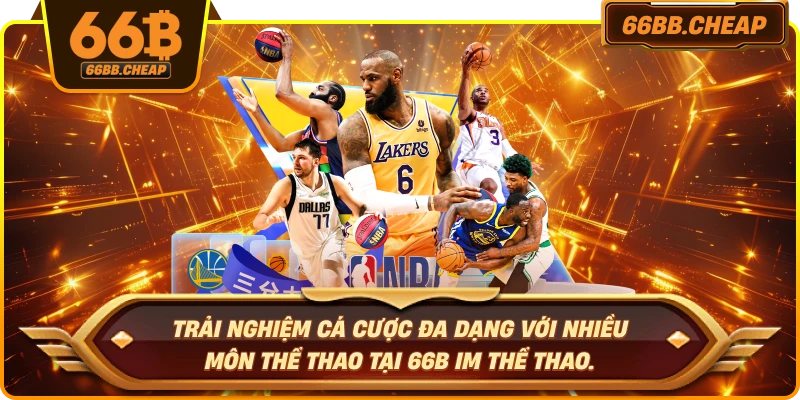 Trải nghiệm cá cược đa dạng với nhiều môn thể thao tại 66B IM Thể Thao.